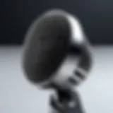 A high-tech microphone designed for translation