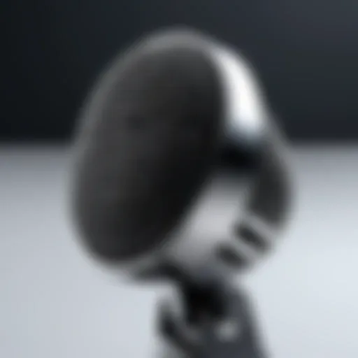 A high-tech microphone designed for translation