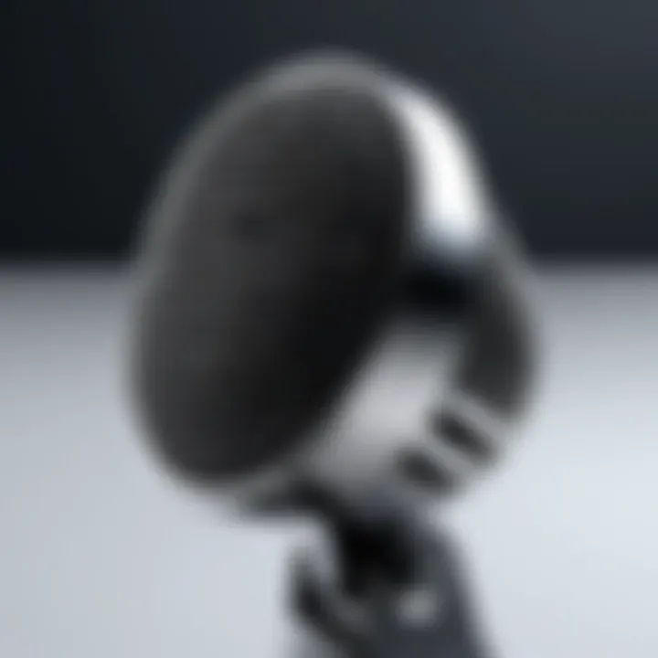 A high-tech microphone designed for translation