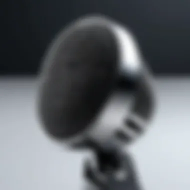 Innovative Microphone for Arabic to English Translation A high-tech microphone designed for translation