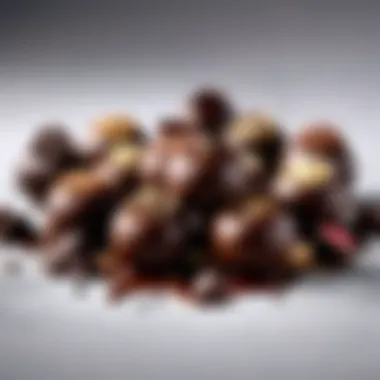 Exquisite Dark Chocolate Truffles Assortment Artisan dark chocolate truffles assortment