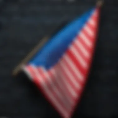 Artistry Meets Technology in Flag Coding Artistic touch in coding flag designs