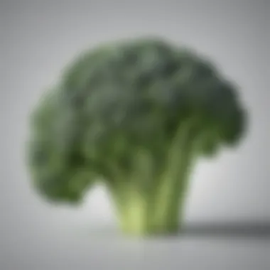 Broccoli Brilliance in Protein