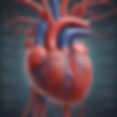 Cardiovascular System Overview Illustration illustrating cardiovascular system