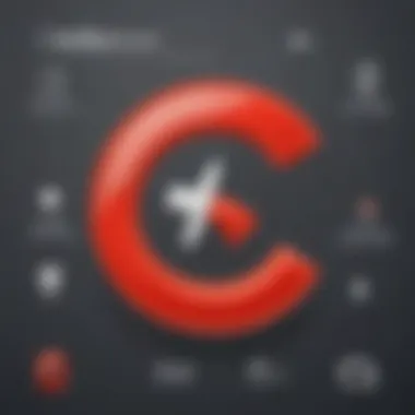 Tailored Customization Options in CCleaner CCleaner Customization Settings