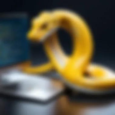 Common Challenges in Python Scripting Graphical depiction of common Python scripting challenges