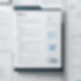 A visually appealing CV layout with organized sections