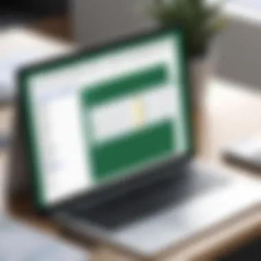 Customizing Excel Sheets Customizing Excel sheets for presentation