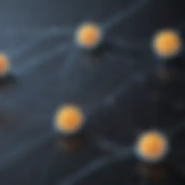 Decentralized Network Structure in Cryptocurrency Mining Cryptocurrency Mining Network Visualization