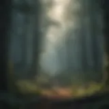 Mysterious Forest Scene