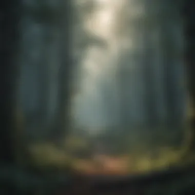 Mysterious Forest Scene