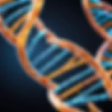 Double Helix DNA Structure DNA Double Helix Structure