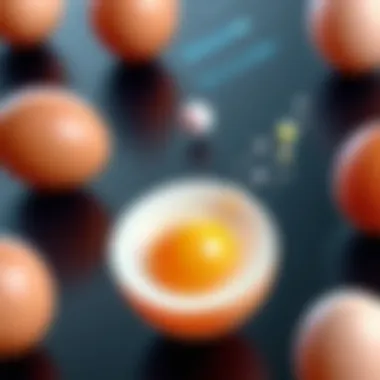 Egg Release Process Illustration showcasing the release of an egg during ovulation