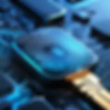 Biometric Authentication Key Illustration symbolizing biometric authentication as a key to secure information access