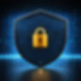 Secure Data Encryption Shield