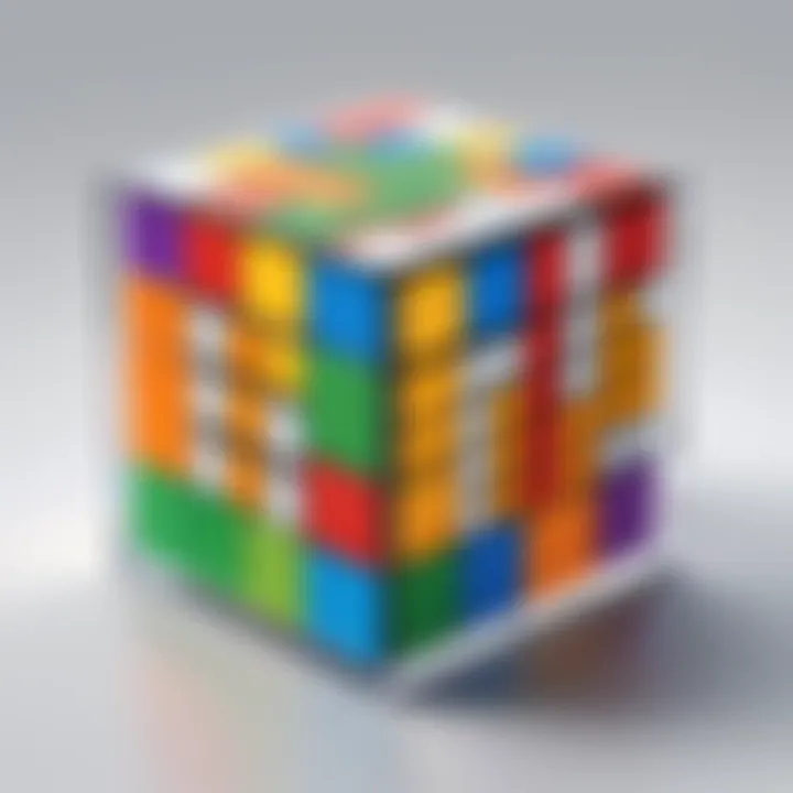 User engaging with Rubik's Cube application