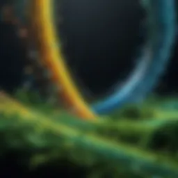 Abstract representation of probability in nature