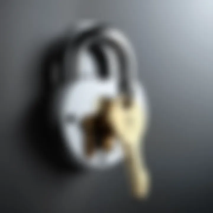 Visual representation of a security lock and key