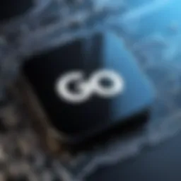 Go programming language logo