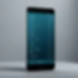 Conceptual representation of phone number masking technology