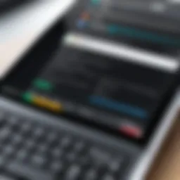 User interface of a terminal application on a Chromebook