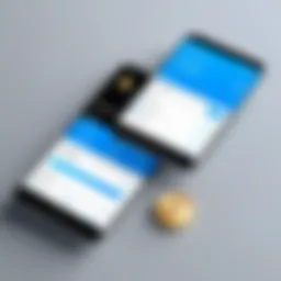 Overview of Coinomi Wallet Interface