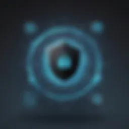 Digital Security Concept