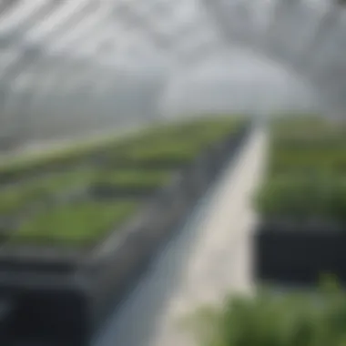 Greenhouse technology with automated climate control systems