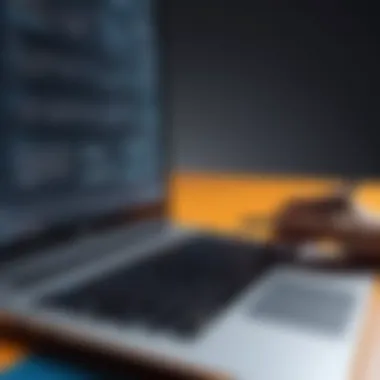 A beginner exploring programming concepts