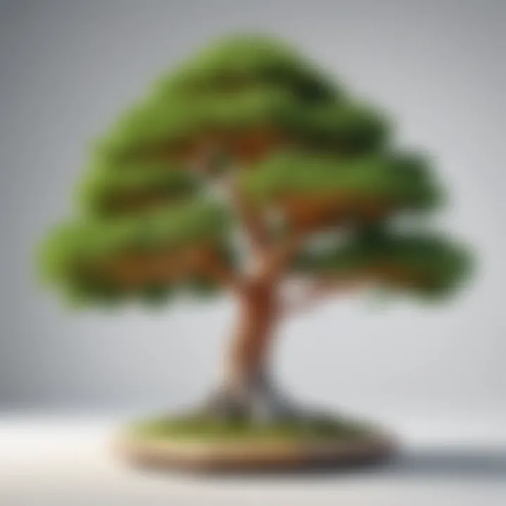 Best practices for enhancing link tree performance