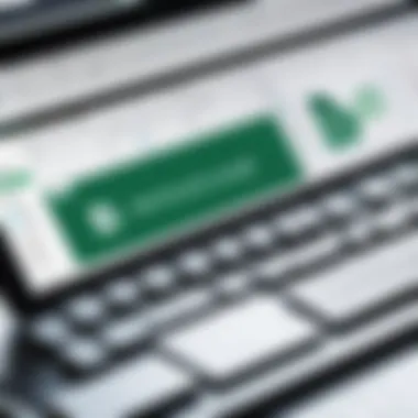 Identifying Duplicate Entries in Excel Excel interface showing duplicate entries highlighted