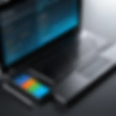Designing User Interfaces User interface design for a Python payroll application.