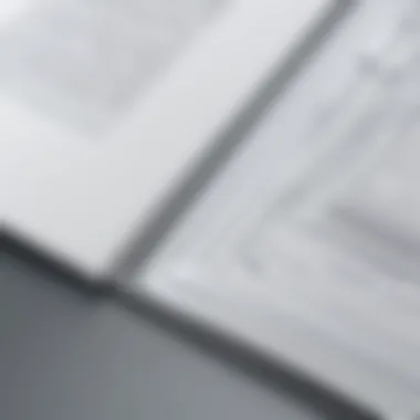 Elegant border design in Word