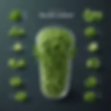 Pea Perfection: Protein Punch Pea Perfection: Protein Punch