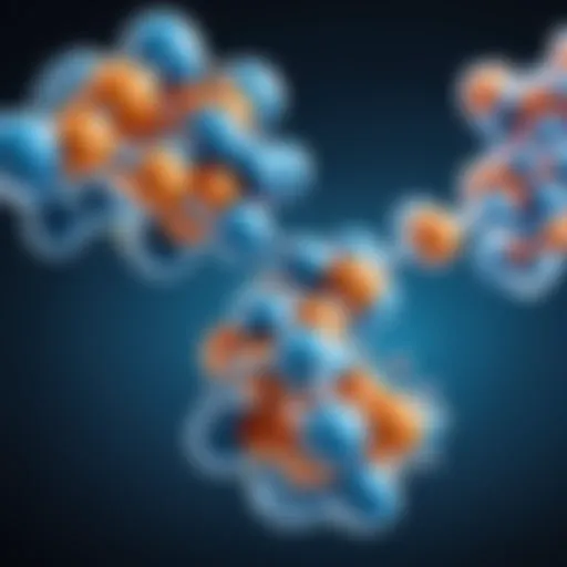 Molecular Structure of Protein Molecule