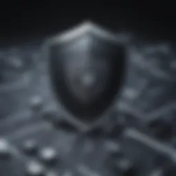 Illustration depicting a shield symbolizing network security