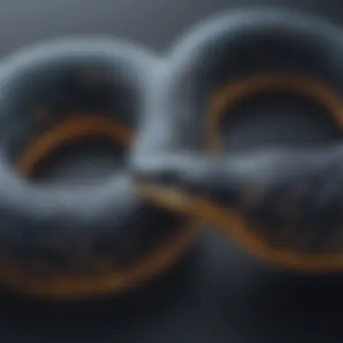 Abstract Visualization of Python Code Python Code Abstract Visualization