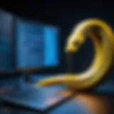 Graphical representation of Python code execution in a simulator environment
