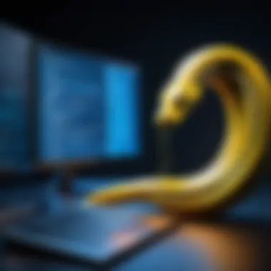 Visualizing Python Code Execution Graphical representation of Python code execution in a simulator environment