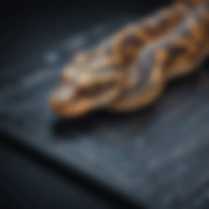 Pythonic Text Parsing Mastery