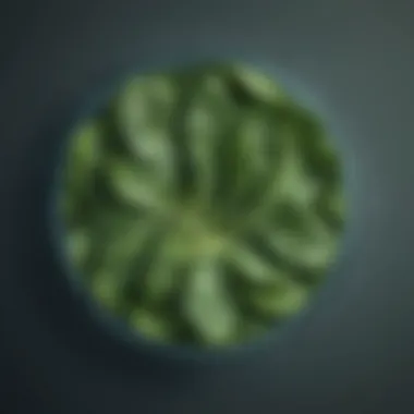 Savory Spinach Power Boost Savory Spinach Power Boost