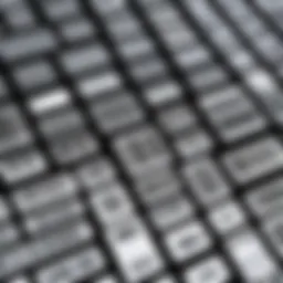 Different types of barcodes arrayed for analysis