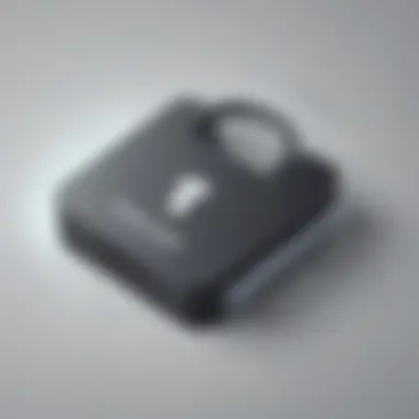 Preventing Fraudulent Activities Security Lock