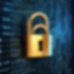 Secure online transaction with encryption