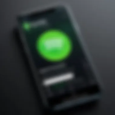 App Interface User interface of Spotify app