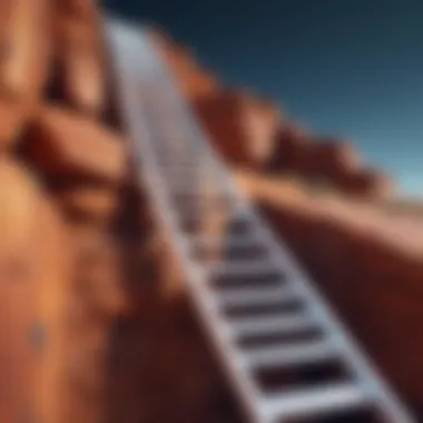 Ascending the Success Ladder Success ladder illustration