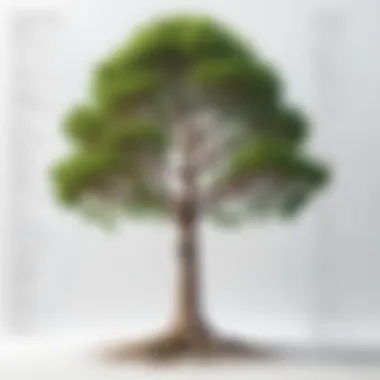 Tree Traversal Algorithms Overview Flowchart of tree traversal algorithms