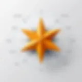 Visual representation of the STAR method