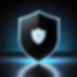 A digital shield symbolizing online security