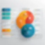 Visual representation of stakeholder categories